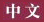 chinese.jpg (2356 bytes)